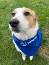 Load image into Gallery viewer, Large Pet Bandanna